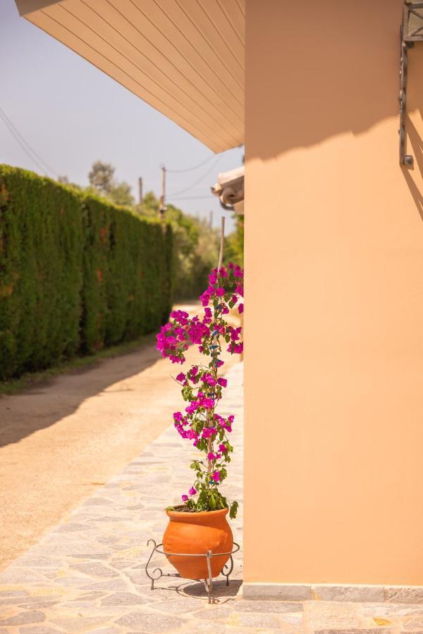 Kourouta Villas Amaliada Esterno foto